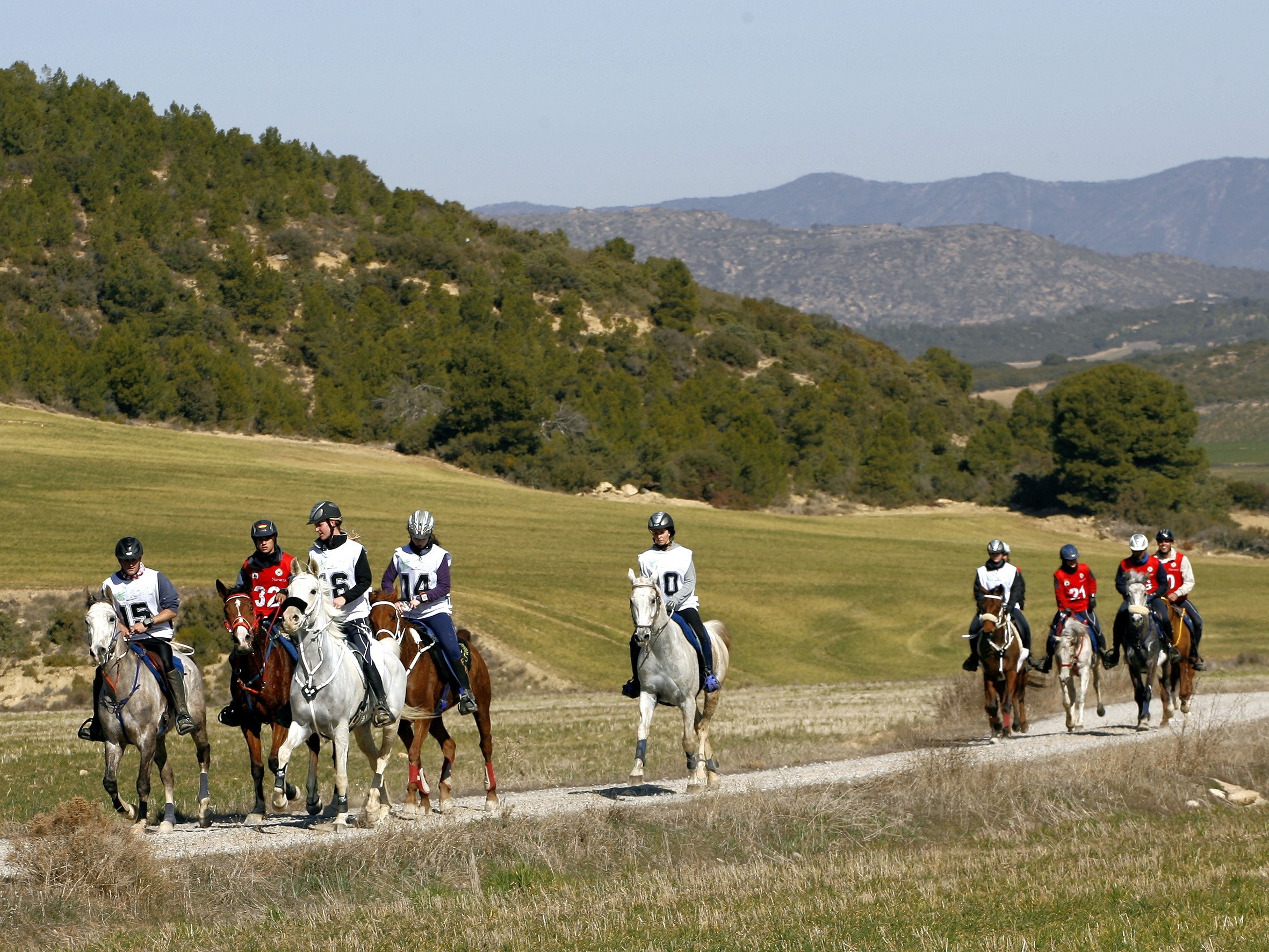 El Jinete Navarro Paco Ayestaran Ganó El XXVI Raid Internacional CEI* Celebrado En Figarol